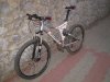 specialized.jpg