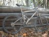 DSC01460.jpg