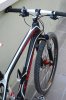 specy 2010 2.jpg
