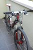 specy 2010 1.jpg