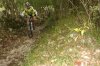 DSC06965.jpg