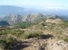 DSC03952.jpg