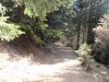 PA310055.jpg