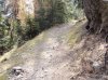 PA310058.jpg