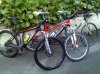 specialized.jpg