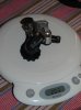 SRAM  X9 gabbia corta anno 2008.jpg