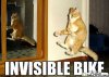 funny-pitures-2-25-09-9.jpg
