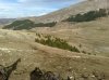 12634_1275785463545_1497218590_746580_7437984_n.jpg