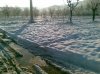 20122009(002).jpg