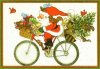 babbo-natale-bici.jpg