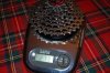 PG-990.JPG