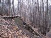 IMG_0050a.jpg