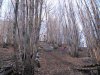 IMG_0078a.jpg