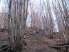IMG_0079a.jpg