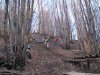 IMG_0080a.jpg