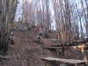 IMG_0081a.jpg