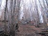 IMG_0062a.jpg