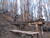 IMG_0065a.jpg
