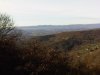 IMG00040-20100103-1046.jpg