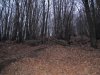 IMG_0101a.jpg
