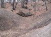 IMG_0097a.jpg