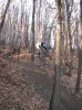 IMG_0103.jpg