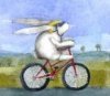 rabbit2.jpg