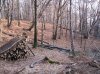 IMG_0135.jpg