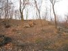 IMG_4017_o.jpg