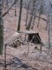 IMG_0142.jpg
