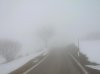 DSCN0142.jpg