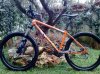 bici intera.jpg