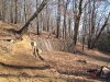 IMG_0154.jpg