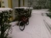 20100131 Pisarota-S.Rocco 01.jpg