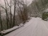 20100131 Pisarota-S.Rocco 03.jpg