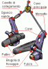 image234_606.gif