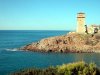 livorno02_581.jpg
