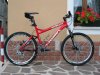 bike_464.jpg