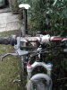 m5640480_2_156.jpg