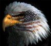 avatar_aquila_167.jpg
