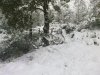 12022010044.jpg