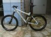 Nerve AM 5.0 800.jpg