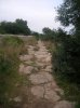 DSCN3271.jpg