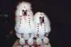 000802_c659_0028_clhs.jpg