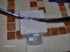 alpine 005.jpg