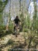DSCN5662.jpg