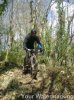 DSCN5665.jpg