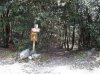 DSC01737.jpg