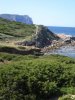 DSCN5003.jpg