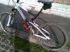28032010.jpg